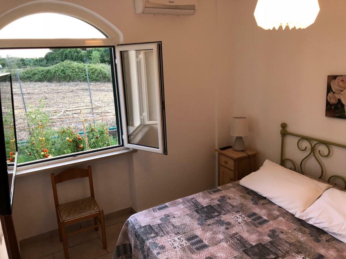 Agriturismo "Lo Zafferano" Aprilia Exteriér fotografie